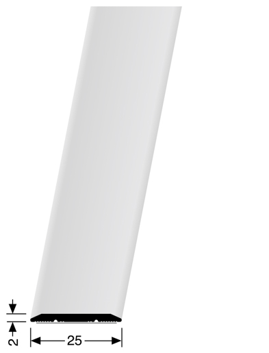 MPlus Übergangsprofil 442 SK SBS 100cm 25mm Alu Edelstahl elox. F2G glatt Best
